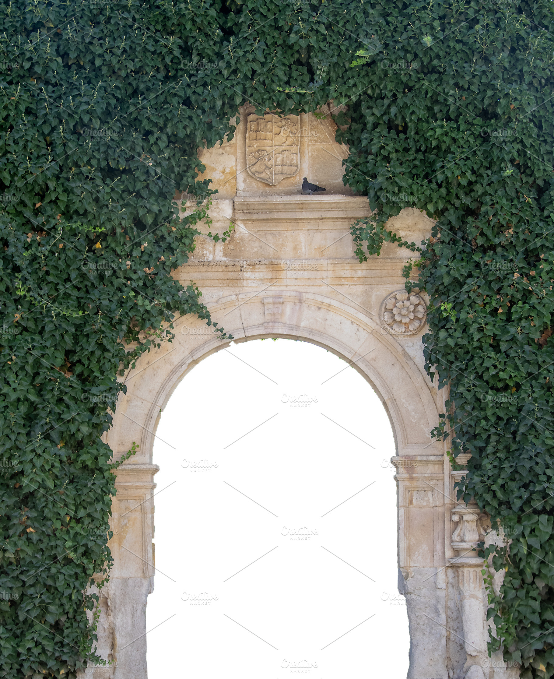 Isolated image of stone archway covered in green ivy, an Architecture Photo by DanFLCreativo