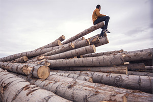 man sitting trunks of cut wood