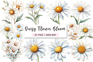 Daisy Flower Bloom Clipart, an Illustration by DreamArtGraphic