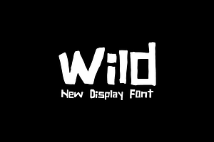 Wild Block Font