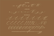 Patricia Rustine Luxury Script Font, a Script Font by Letterena Studios Script (Thumbnail 14 of 15)