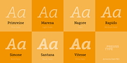 Arventa Slab Pro, a Slab Serif Font by preussTYPE (Thumbnail 10 of 10)