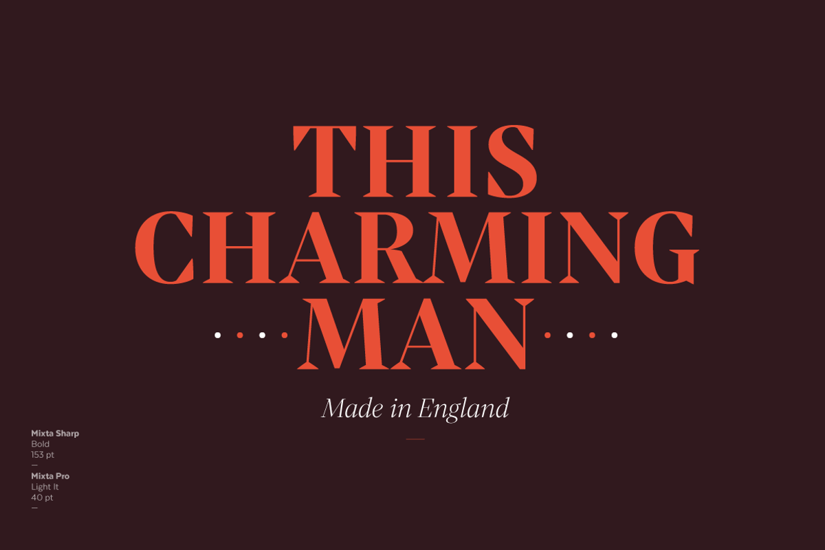 Mixta - Family 50% off, a Serif Font by Latinotype (Photo 9 of 15)