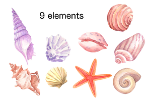 Watercolor Seashell Clip Art