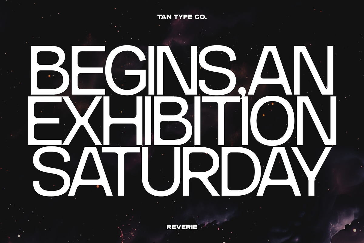 TAN-THE REVERIE, a Sans Serif Font by TanType (Photo 10 of 11)
