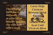 Valtrisse - Wide Serif Display Font, a Font by Indotype Foundry (Thumbnail 10 of 10)