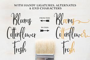 Buttermilk Farmhouse Type & Graphics