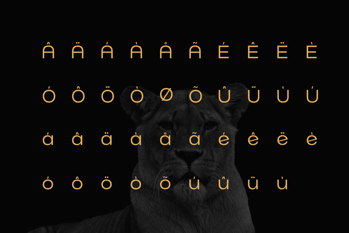 Norik Nue - A Modern Sans-serif Font, a Sans Serif Font by Webhance Studio (Photo 3 of 12)