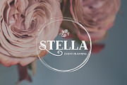 Conquistador Serif with Flourishes, a Serif Font by Beck McCormick (Thumbnail 2 of 6)