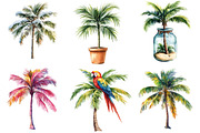 Tropical Palm Tree Clipart Bundle, an Illustration by Pixels.Craft (Thumbnail 4 of 8)