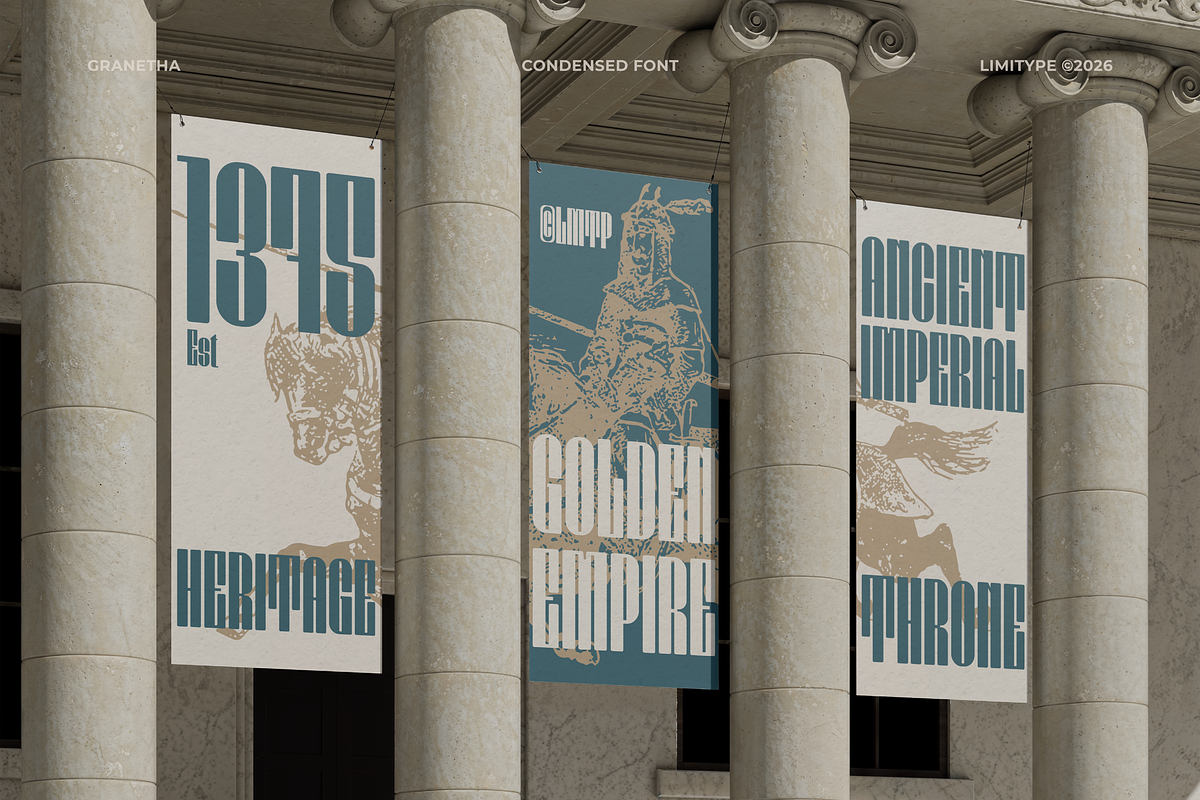 Granetha - Bold Condensed Font, a Sans Serif Font by limitype (Photo 3 of 12)
