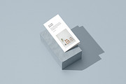 Bifold DL flyer mockup on a stone, a Print Template by simuradi (Thumbnail 5 of 10)