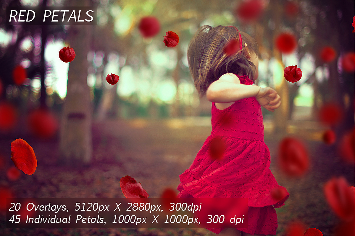5K Petals Overlays, an Object Graphic by ArtPlanet (Photo 5 of 12)