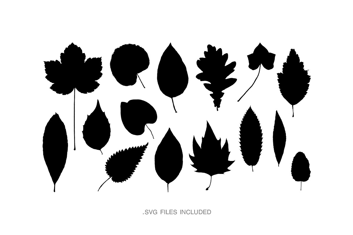 Autumn Leaves – 15 Isolated Assets, an Object Graphic by MarkSupply (Photo 6 of 7)