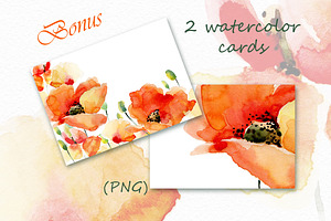 Watercolor Poppies.Flowers Set Bonus