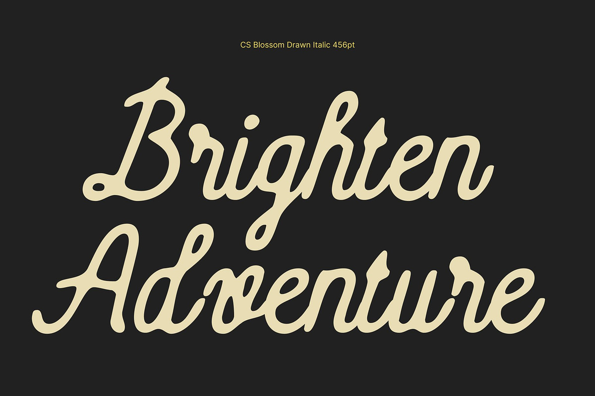CS Blossom Drawn, a Script Font by Craft Supply Co. (Photo 5 of 8)