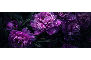 Elegant Purple Peonies in Bloom, a Beauty & Fashion Photo by Natalia Klenova's Shop