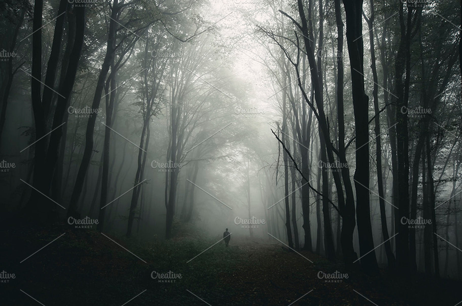 Man silhouette in scary forest stock photo containing dark and forest, a Nature Photo by Atmospheric visuals