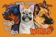 Dogs Most Popular in World,  510 Pet, an Illustration by Dneprstock (Thumbnail 1 of 5)