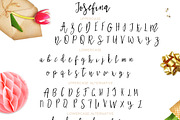 Josefina • Bonus Elements •, a Script Font by Creamy Script (Thumbnail 6 of 7)