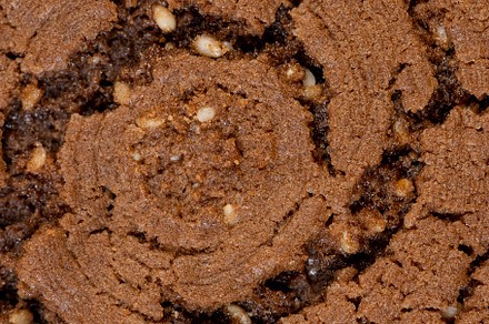 sweet cookies with chocolate flavor, chocolate biscuits with real cocoa and ses