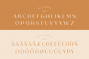 Carla Sans - Elegant Typeface, a Sans Serif Font by Creative Corner (Thumbnail 21 of 26)