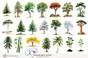100 watercolour global tree clip art, a Seasonal Illustration by Poppy Lane Studio (Thumbnail 6 of 11)