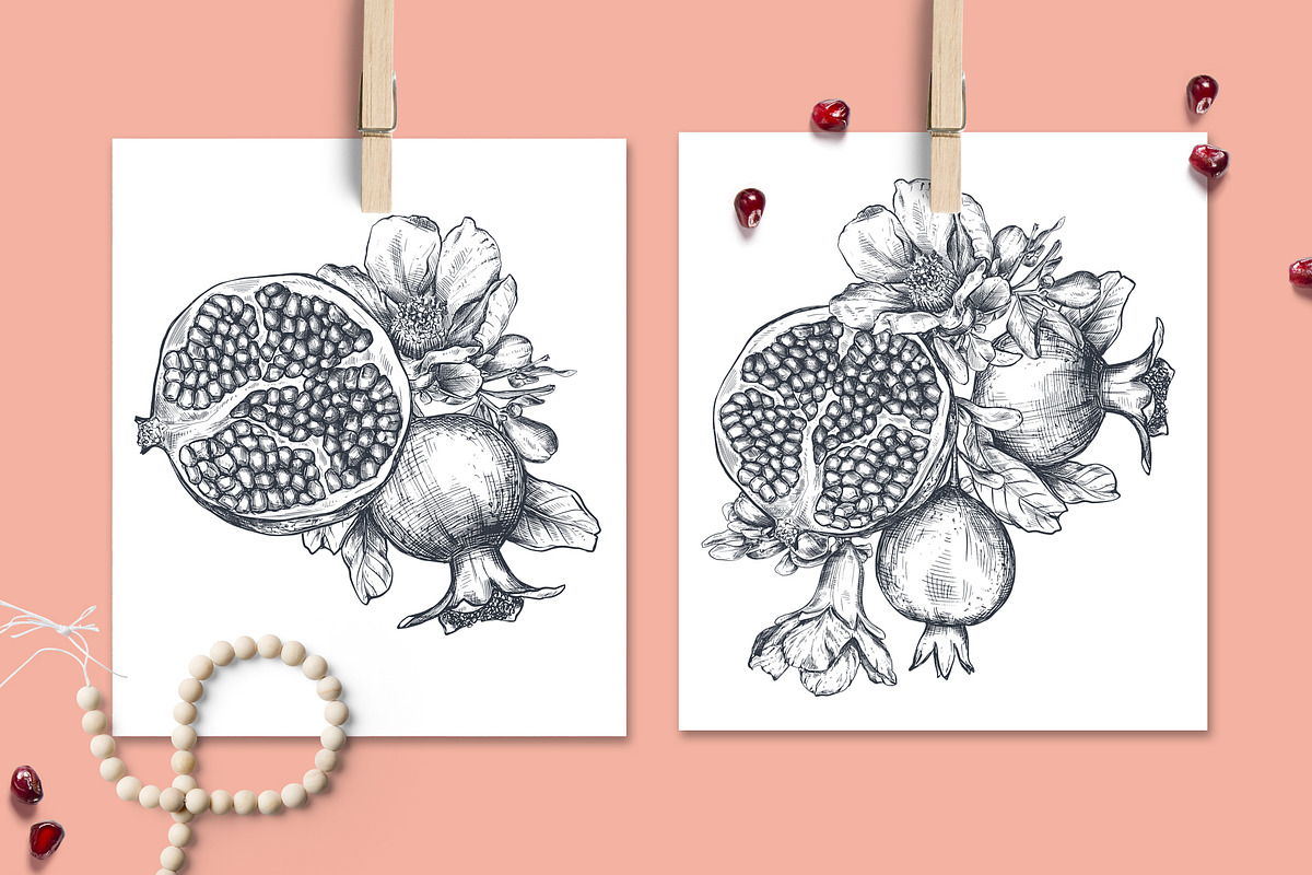 Pomegranate Fruit Vector Set, a Food Illustration by Molly art (Photo 5 of 8)