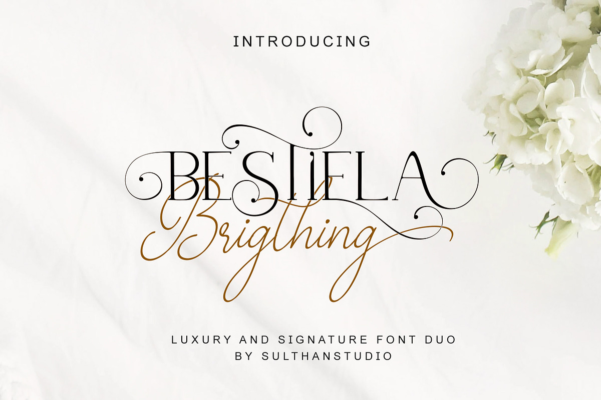 Bestiela brigthing, a Handwritten Font by Sulthan Studio (Photo 1 of 10)
