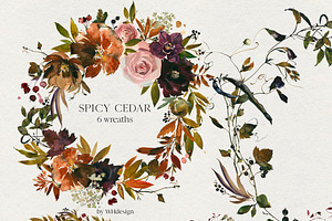 Spicy Cedar Watercolor Fall Clipart