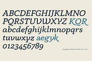 Anaphora - 22 Fonts, a Serif Font by Zetafonts (Thumbnail 7 of 11)