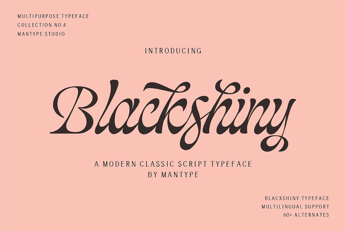 Blackshiny, a Script Font by ManType (Photo 1 of 7)