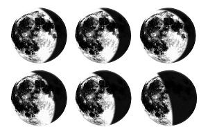 Moon Phases Stamp Brushes