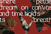 The Braven – Elegant Sans Serif, a Sans Serif Font by Vadovastd (Thumbnail 3 of 6)