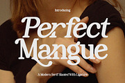 Perfect Mangue | Serif Duo Font, a Serif Font by Typoraith Co (Thumbnail 1 of 10)