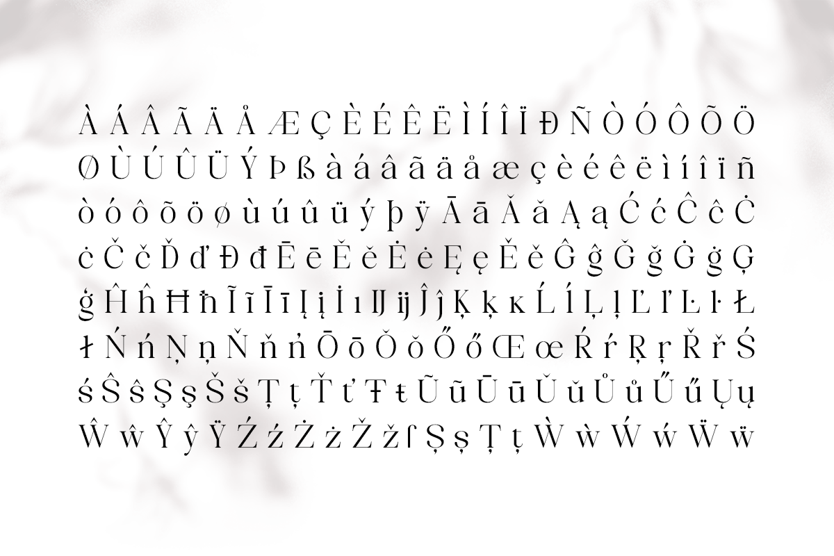 Celima, a Serif Font by Nurul_kamal (Photo 8 of 16)