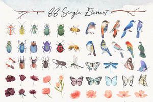 Insects & Birds Watercolor Set