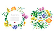 Watercolor medicinal herbs, a Healthcare Illustration by Vikeriya (Thumbnail 3 of 6)