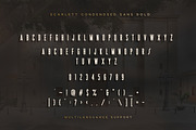 Scarlett Font Bundle, a Script Font by Swistblnk Std. (Thumbnail 16 of 16)