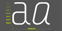 Transfer