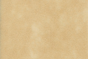 light brown felt nonwoven fabric texture background, a Photo by WorldOfPhotos