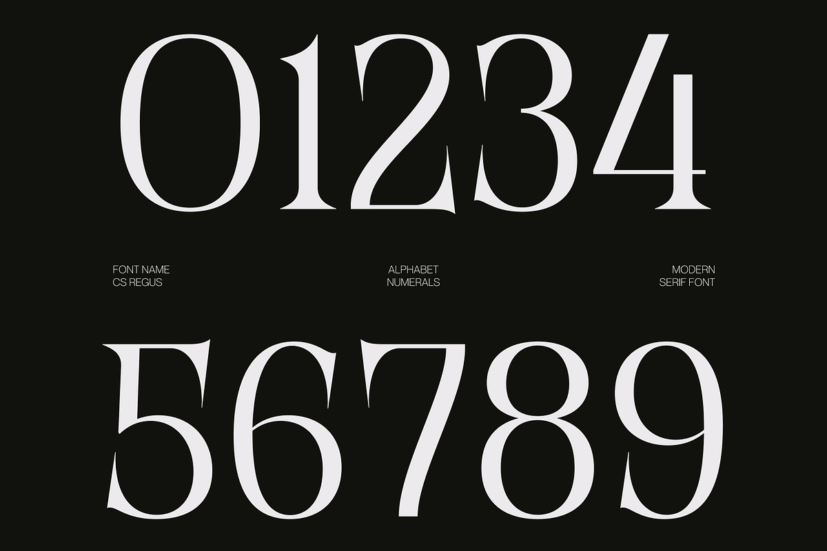 CS Regus – Modern Serif Font, a Serif Font by Craft Supply Co. (Photo 7 of 8)