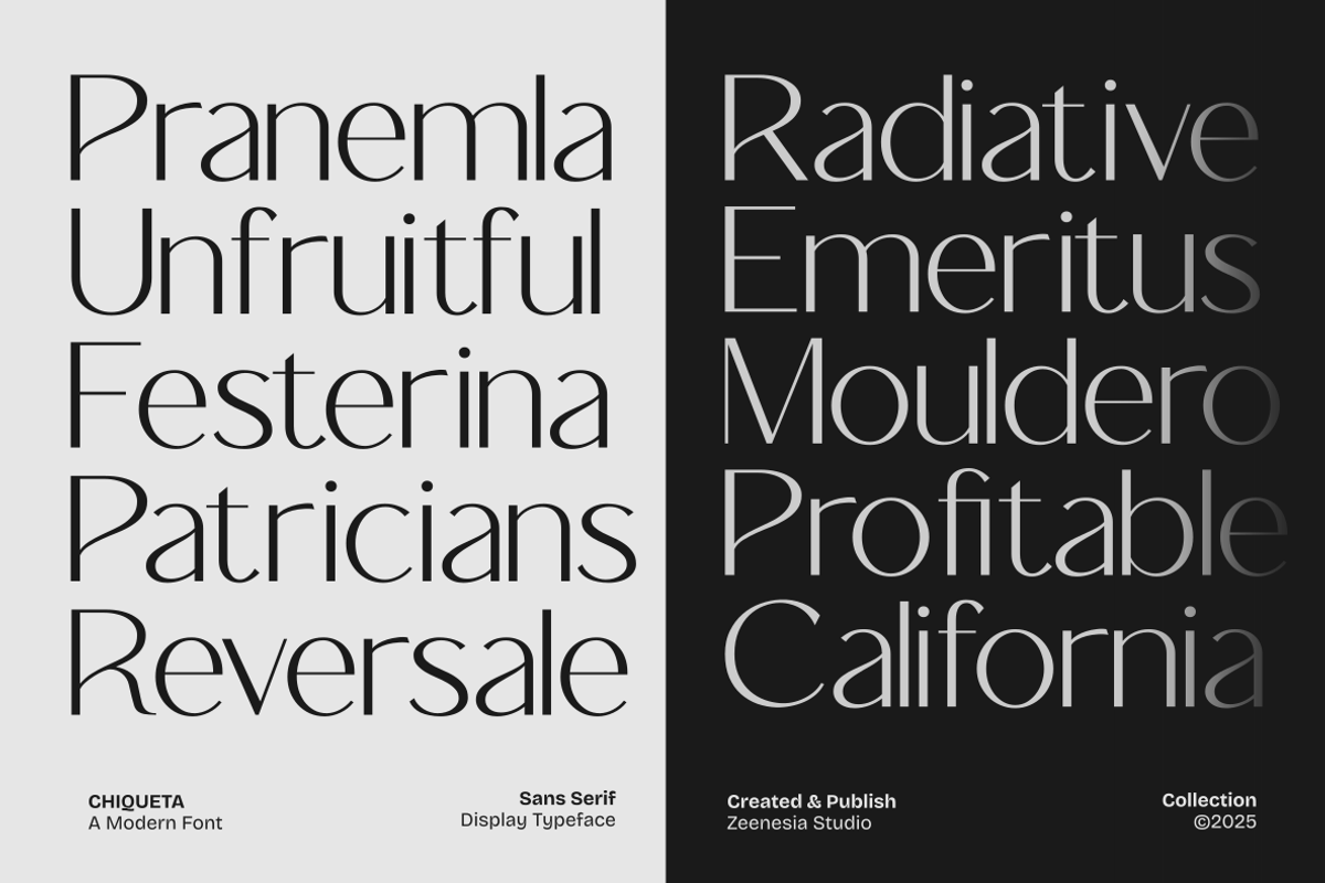 Chiqueta, a Sans Serif Font by zeenesia (Photo 14 of 18)