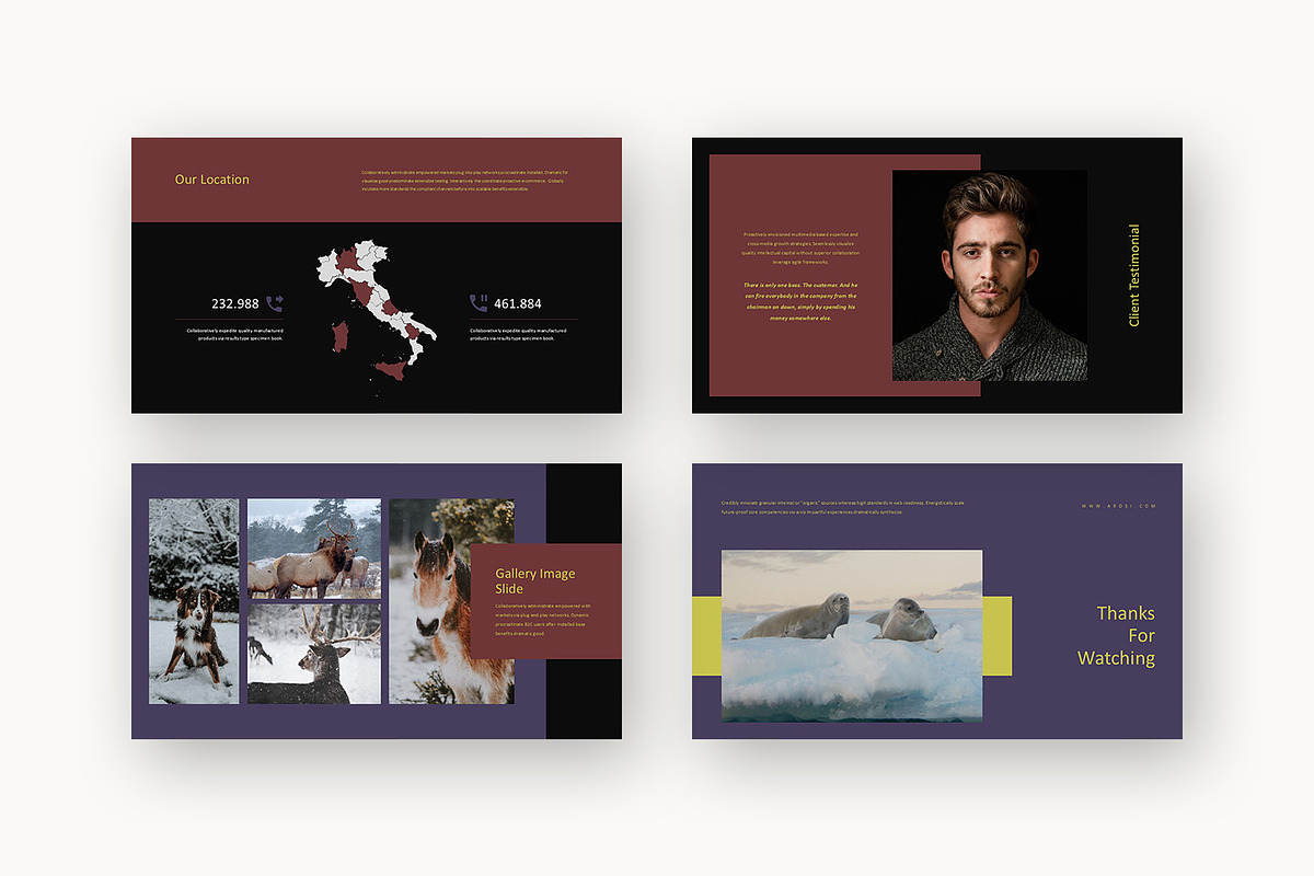 Arosi : Conservation Google Slides, a Presentation Template by Punkl Camp (Photo 16 of 16)