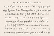 Sattersoon - Modern Script Font, a Script Font by Garisman Std (Thumbnail 8 of 10)