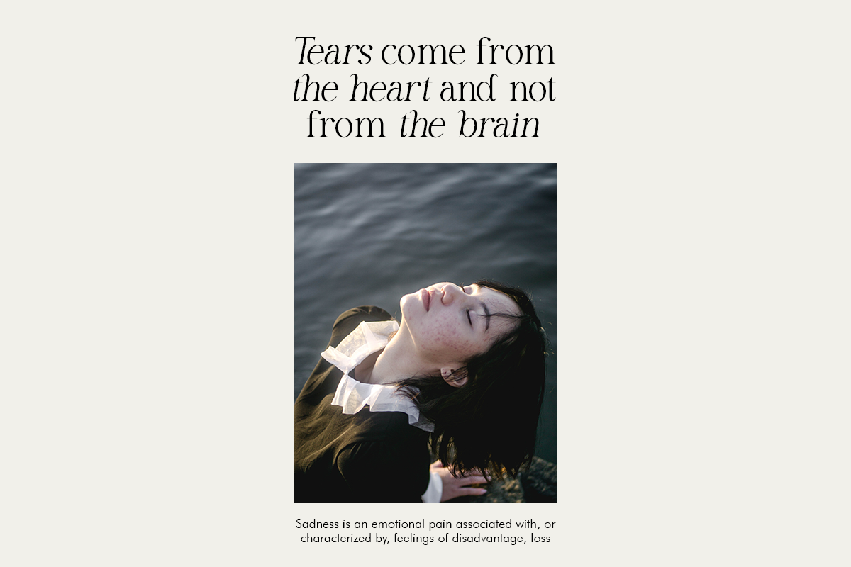 Salsify - Classic Thin Serif, a Serif Font by Pandeka Studio (Photo 7 of 12)
