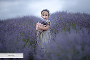 Pearl Butterflies Photoshop Overlays, a Plug-in Add-On by FixThePhoto (Thumbnail 23 of 34)