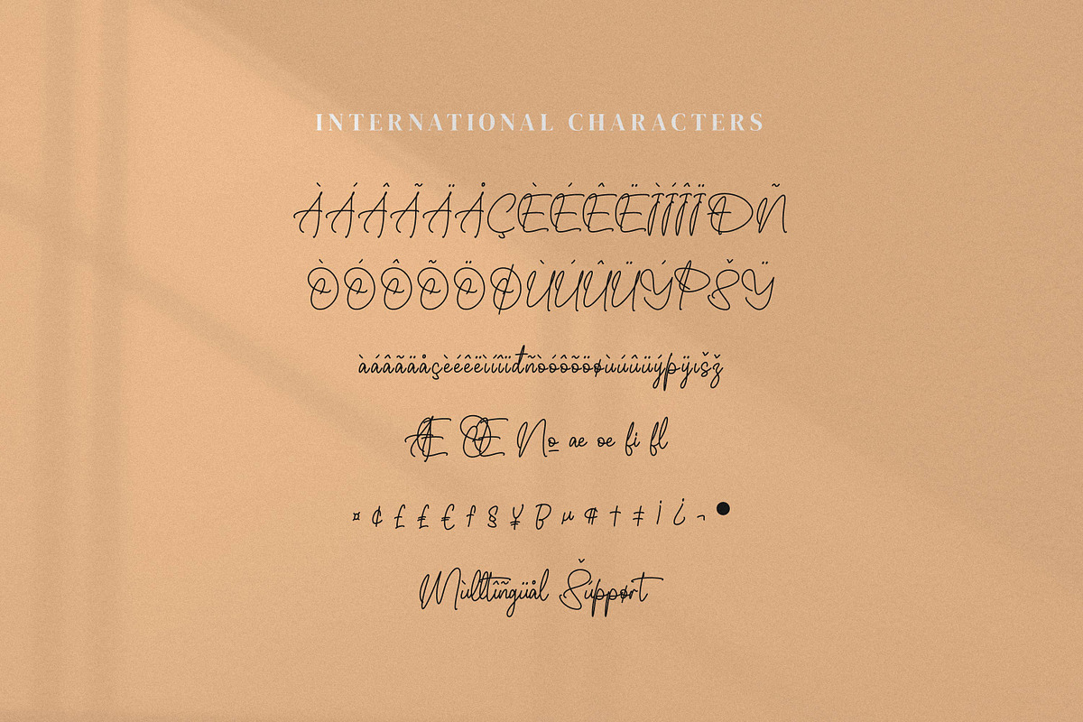 Whitteney, a Script Font by Integritype Studio (Photo 10 of 15)