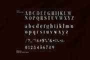 Kyanorsie Elegant Serif Font, a Serif Font by Perfectype (Thumbnail 8 of 8)
