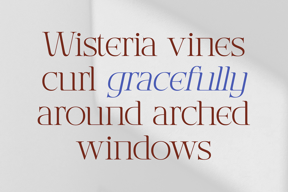 CS Brody – Classic Font, a Serif Font by Craft Supply Co. (Photo 5 of 8)
